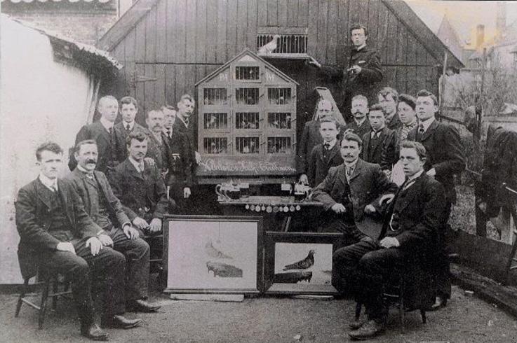 Duivenvereniging